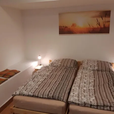 Voluntario * Hradec Kralove