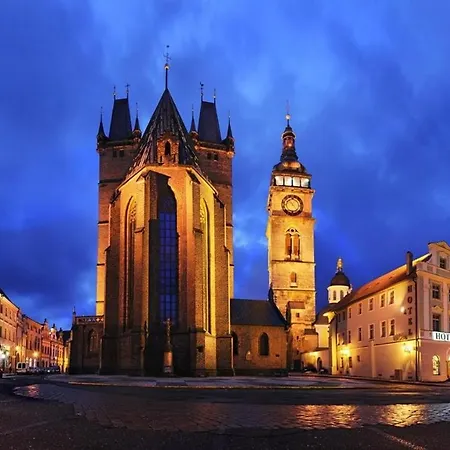 Voluntario * Hradec Králové