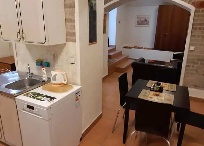 Voluntário Hradec Králové